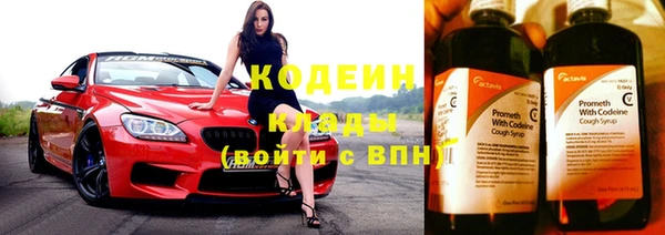 индика Медногорск