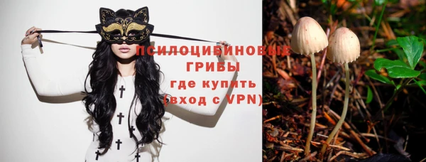 индика Медногорск
