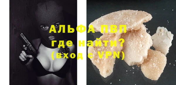 индика Медногорск