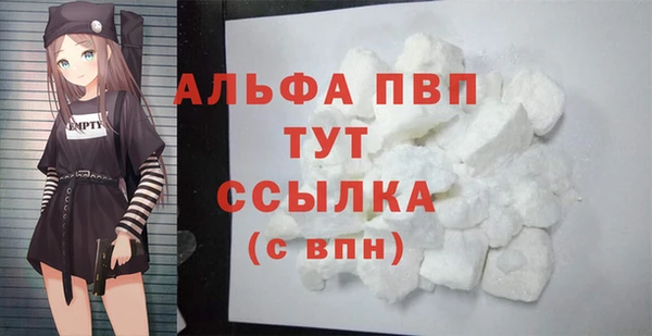 индика Медногорск