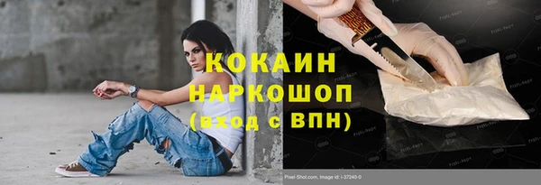 индика Медногорск