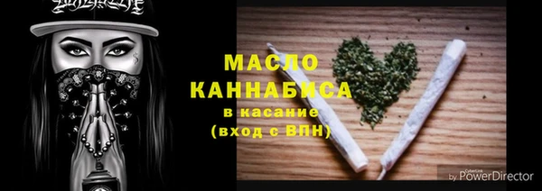 индика Медногорск