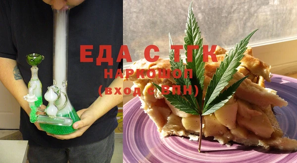 индика Медногорск
