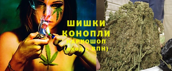 индика Медногорск