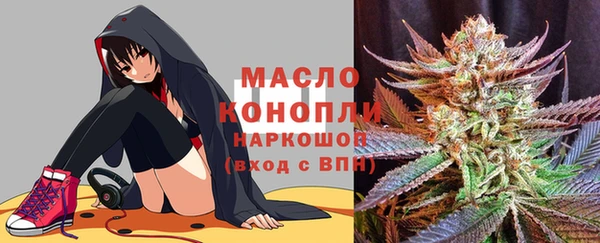 индика Медногорск