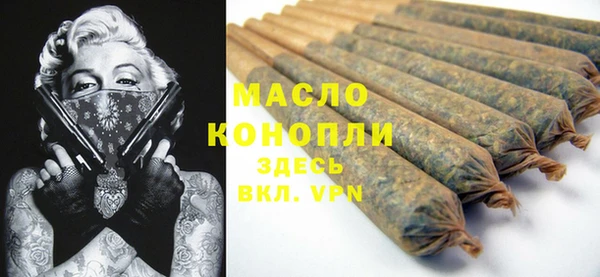 индика Медногорск