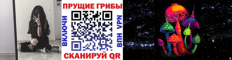 omg как войти  где можно купить   Кушва  Псилоцибиновые грибы Magic Shrooms 