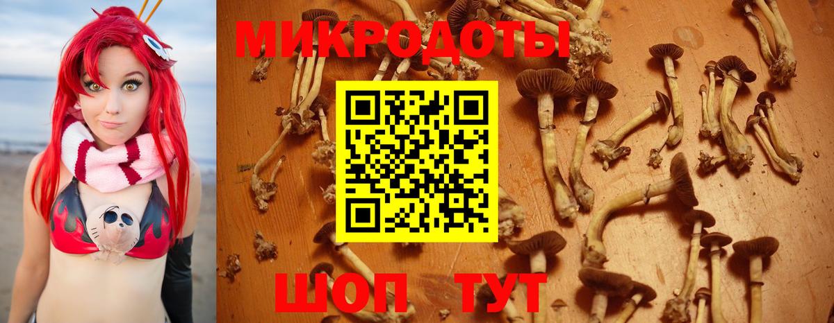 Псилоцибиновые грибы ЛСД  Псилоцибиновые грибы мицелий  Кушва  Вход с VPN 